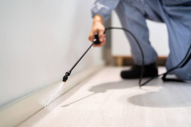 Best Pest Prevention Services  in George Mason, VA
