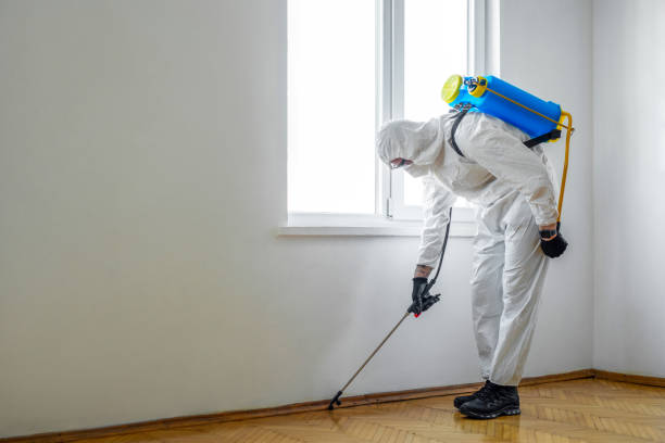 Best Pest Control Near Me  in George Mason, VA