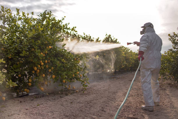 Best Residential Pest Control  in George Mason, VA